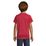 s01166-rd-back.jpg