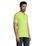 s11346-ag-side.jpg