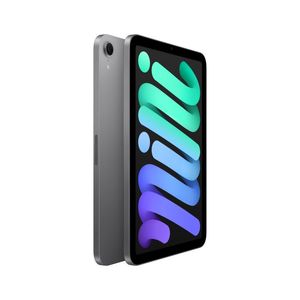 IPAD MINI WI-FI 128GB SPACE GRAY-HCZ