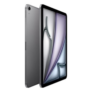 IPAD AIR 11 WF CL 512GB SPG-HCZ