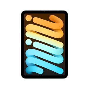 iPAD MINI WiFi&Cell 256GB BLUE