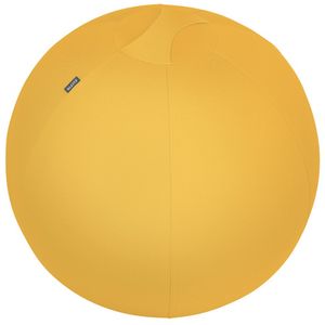 Minge Ergonomica 65 cm Leitz