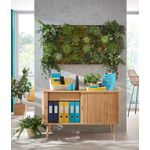 Capsator-plastic-24-26-6-mm-30-coli-Leitz-diverse-culori-albastru-celest-7