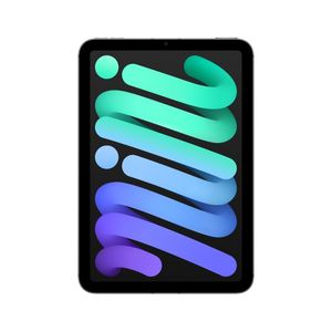 iPAD MINI WiFi&Cell 256GB SPACE GREY