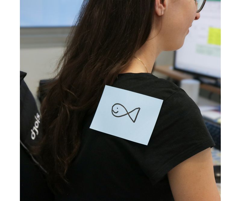 Notite-adezive-electrostatice-Djois-mm-5-culori-250-file-diverse-dimensiuni-100x75mm-6