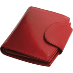 www_31901311_WqTSYr7