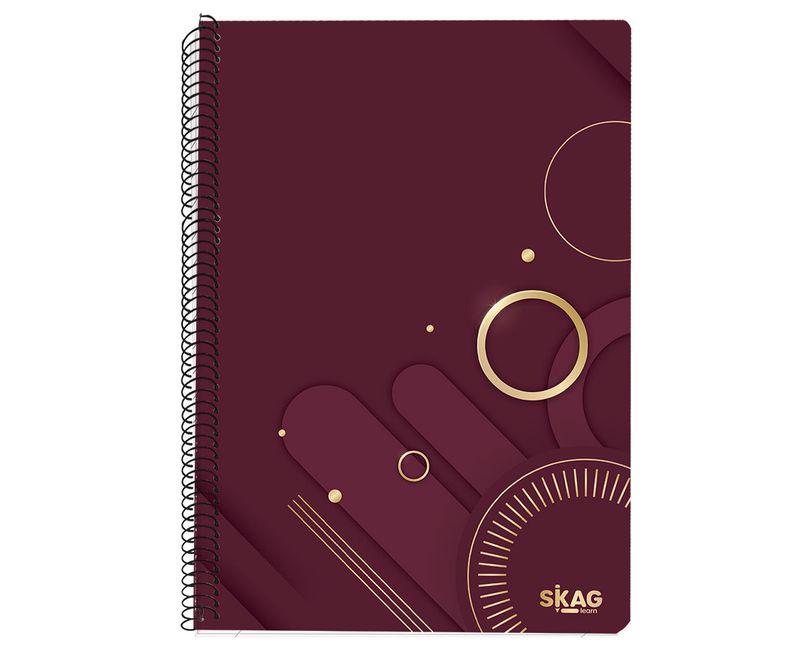 Caiet-A4-Skag-dictando-cu-spira-60-file-diverse-culori1