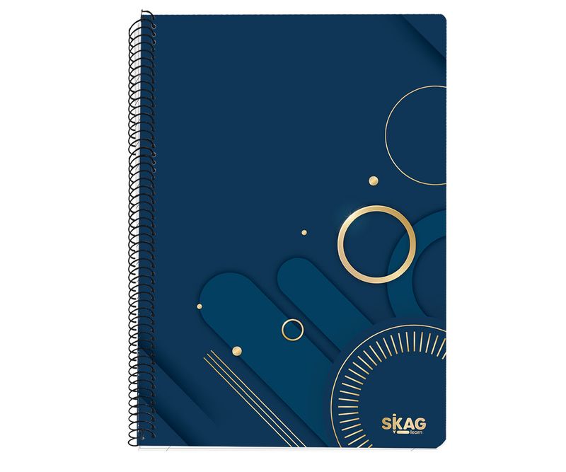 Caiet-A4-Skag-dictando-cu-spira-120-file-4-diviziuni-diverse-culori2