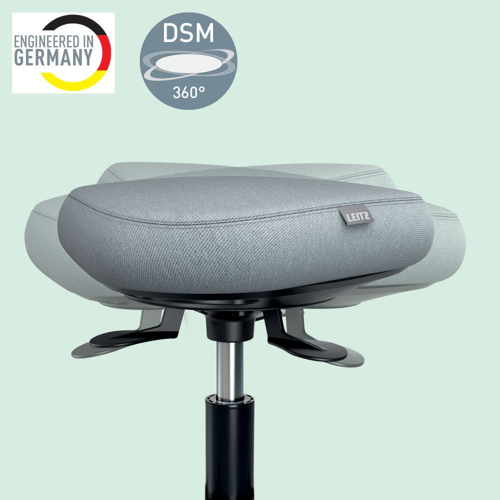 Scaun ergonomic Leitz reglabil 47-60 cm cu roti pivotante - Dacris.net