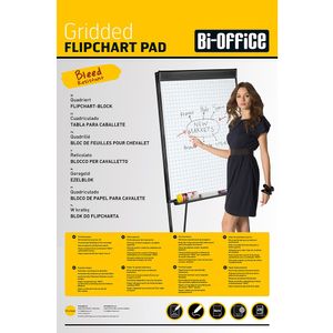 Hartie flipchart 99x66 matematica 60 g/mp 20 coli Bi-Silque