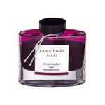 Cerneala-Pilot-Iroshizuku--Vita-de-vie--rosu