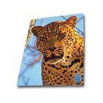 Mapa-carton-Skag-AR-inchidere-cu-elastic-25-x-35-wild-animals-leopard