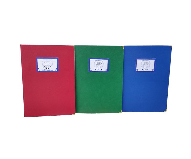 Catalog-pentru-invatamantul-liceal-clasele-IX-XII-XIII-36-elevi-coperta-imitatie-piele