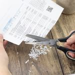 Foarfeca pentru verdeturi Rapesco, 20cm