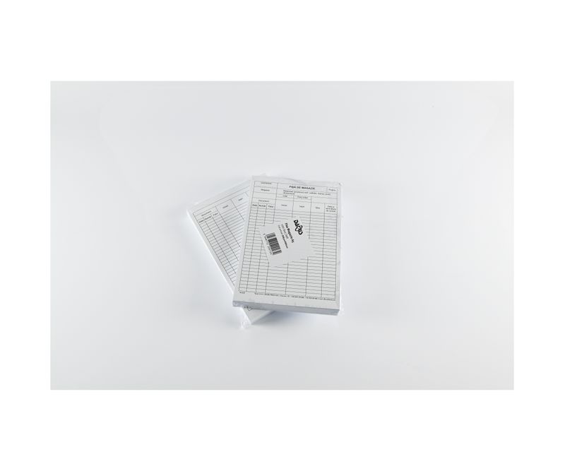 Fisa-magazie-A5-100-file-set