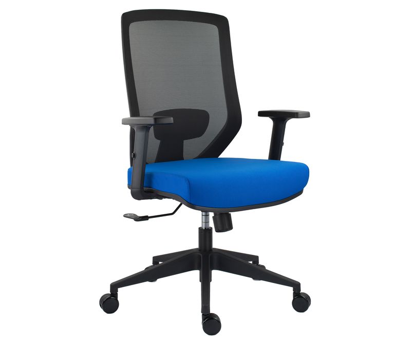 Scaun-ergonomic-J-albastru