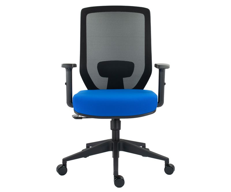 Scaun-ergonomic-J-albastru