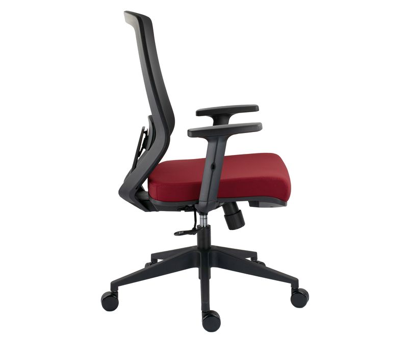 Scaun-ergonomic-J-bordo