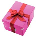 Cutie-Leitz-Click---Store-medie-roz