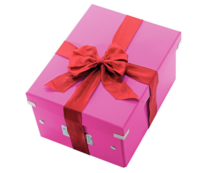 Cutie-Leitz-Click---Store-medie-roz