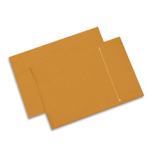 Set 250 plicuri cu burduf TB/5 siliconic kraft 175 x 250 x 20 mm