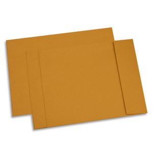 Set 250 plicuri cu burduf TB/4 siliconic kraft 250 x 353 x 40 mm