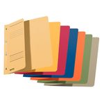 Dosar-cu-sina-Leitz-1-2-carton-A4-cu-capse-170-coli-kraft
