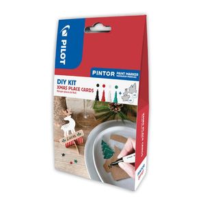 Set markere cu vopsea Pilot Pintor DIY Xmas culori metalice varf fin