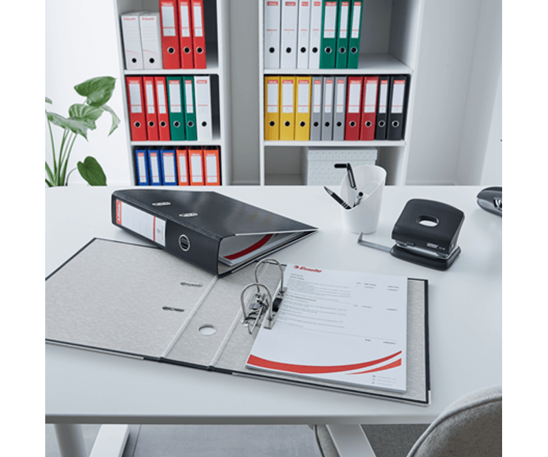 biblioraft-esselte-economy-pp-a4-7-5-cm