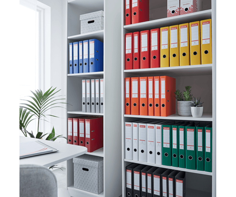 biblioraft-esselte-economy-pp-a4-7-5-cm