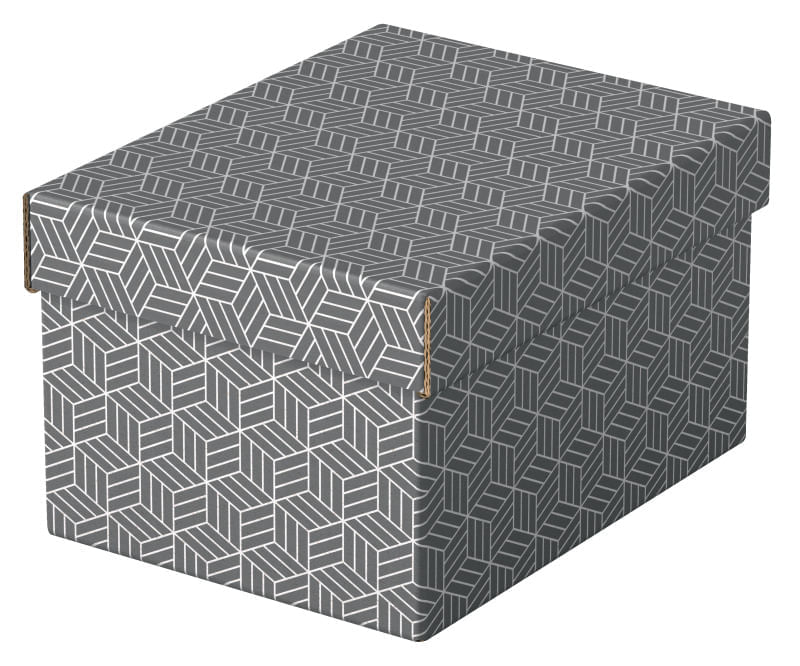 Set 3 buc Cutii arhivare carton 250 x 200 x 150 mm gri Esselte Home Recycled