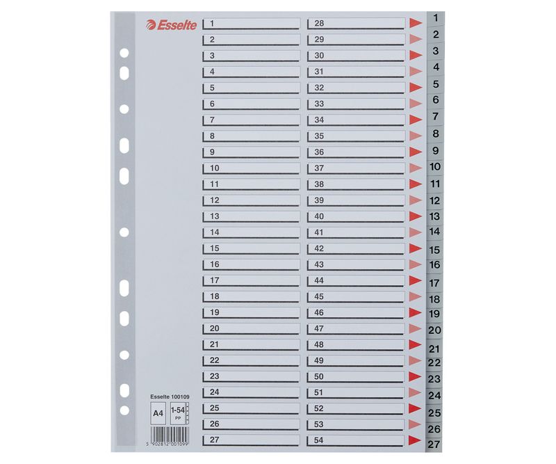 Index-Esselte-plastic-reciclabil-A4-1-54-gri