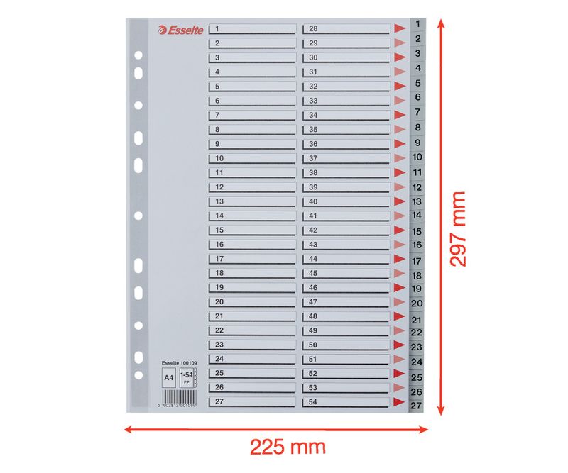 Index-Esselte-plastic-reciclabil-A4-1-54-gri