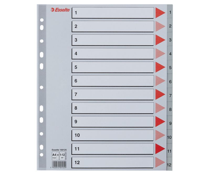 Index-Esselte-plastic-reciclabil-A4-MAXI-1-12-gri