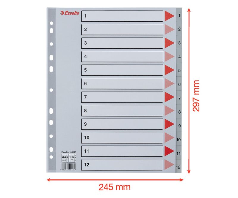 Index-Esselte-plastic-reciclabil-A4-MAXI-1-12-gri