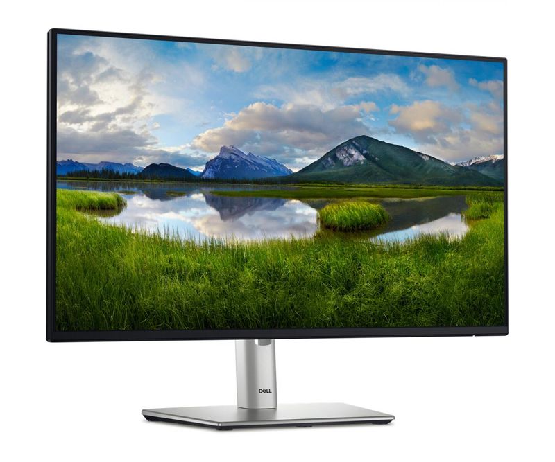DL-MONITOR-23-8-P2425H-LED-1920x1080-0