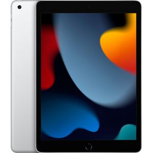 Apple iPad 9 10.2" Wi-Fi 64GB SV (US)