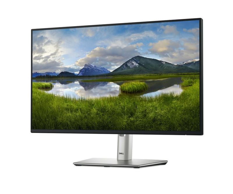 DL-MONITOR-23-8-P2425HE-LED-1920x1080-0