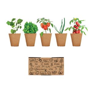 Kit crestere salata