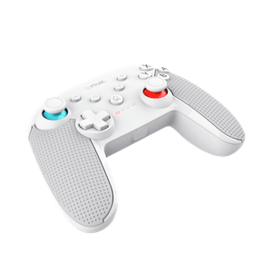 Controller Trust Muta Nintendo Switch al