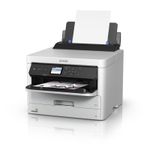 EPSON-PRO-BLACK-XXL-INKJET-CART-C579-9999